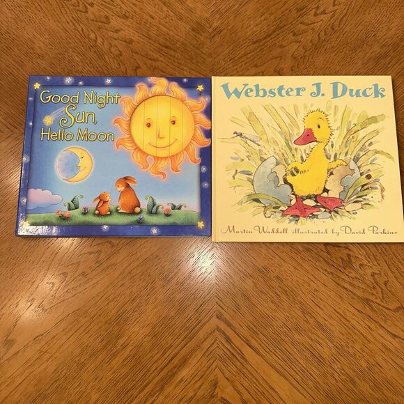 Good Night Sun, Hello Moon Flip Boom by Viola, Karen & Webster J Duck 2 Books - Picture 1 of 5